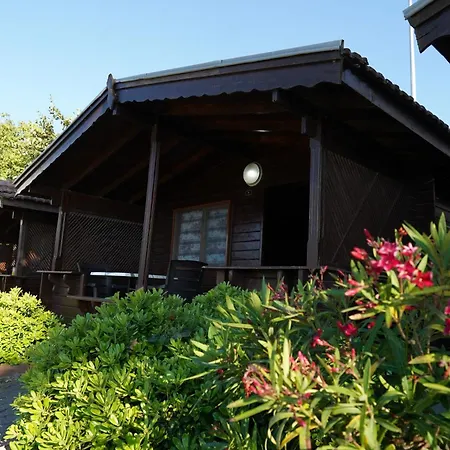 Gardenya İnebolu